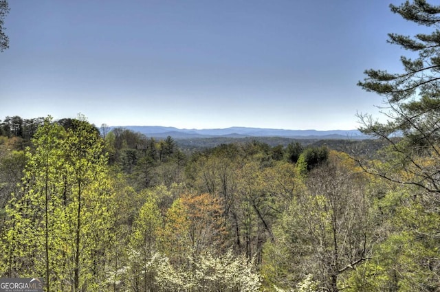 143 Katydid Rd, Morganton, GA 30560 - property view of mountains with a view of trees
