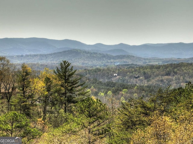 143 Katydid Rd, Morganton, GA 30560 - property view of mountains with a view of trees