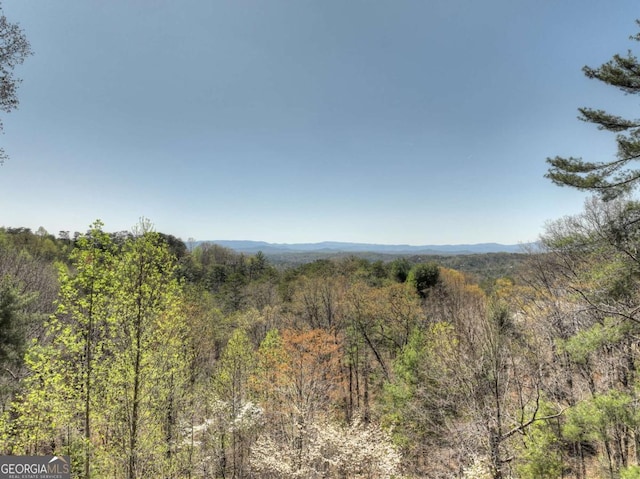 143 Katydid Rd, Morganton, GA 30560 - view of nature with a wooded view