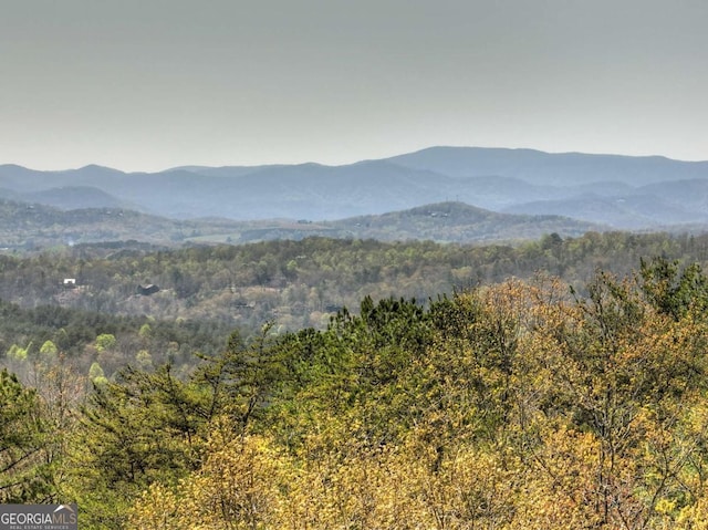 143 Katydid Rd, Morganton, GA 30560 - property view of mountains with a forest view
