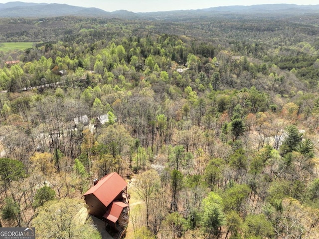 143 Katydid Rd, Morganton, GA 30560 - birds eye view of property with a view of trees and a mountain view