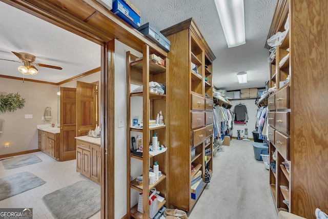 spacious closet featuring ceiling fan