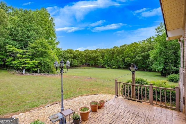 view of yard featuring a patio area