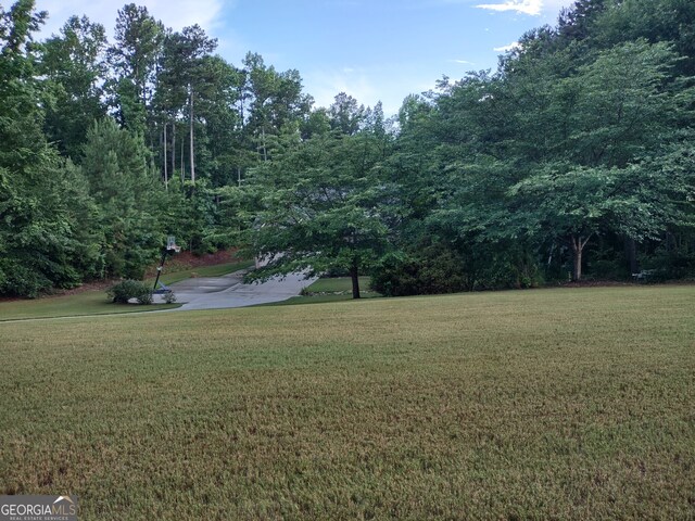 57 Deer Creek Run, Moreland, GA 30259 - view of yard