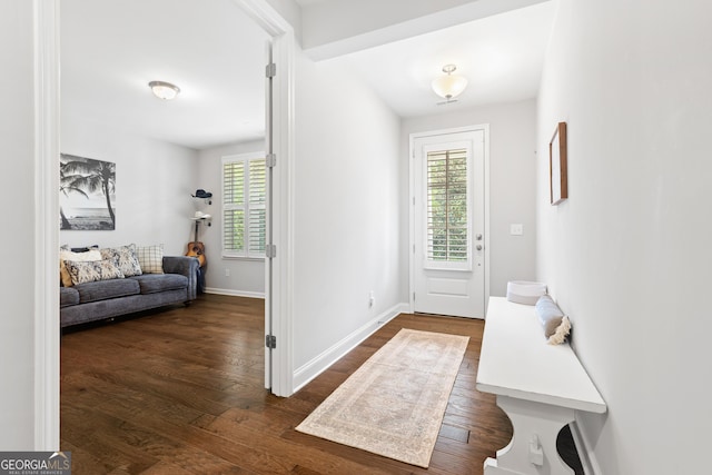 10200 Windalier Way, Roswell, GA 30076 - entrance foyer with baseboards, dark wood finished floors, and a wealth of natural light
