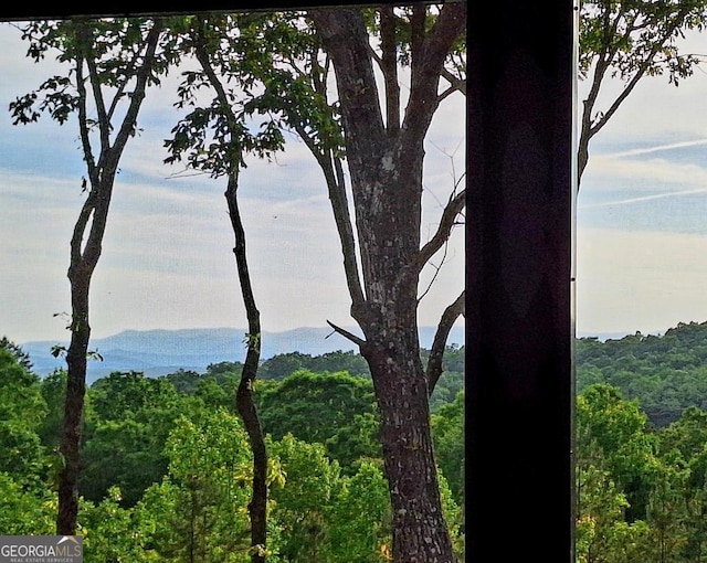 171 Antler Way, Morganton, GA 30560 - view of mountain backdrop with a forest