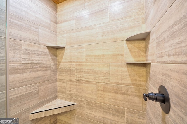 171 Antler Way, Morganton, GA 30560 - bathroom view of a tile shower