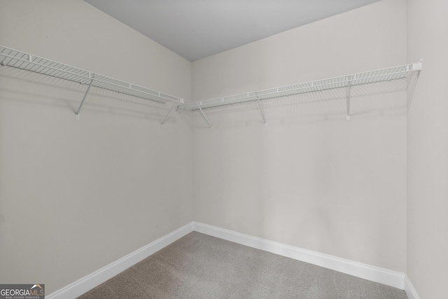 spacious closet with carpet