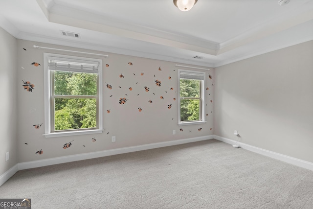 empty room featuring a healthy amount of sunlight, a raised ceiling, carpet, and visible vents