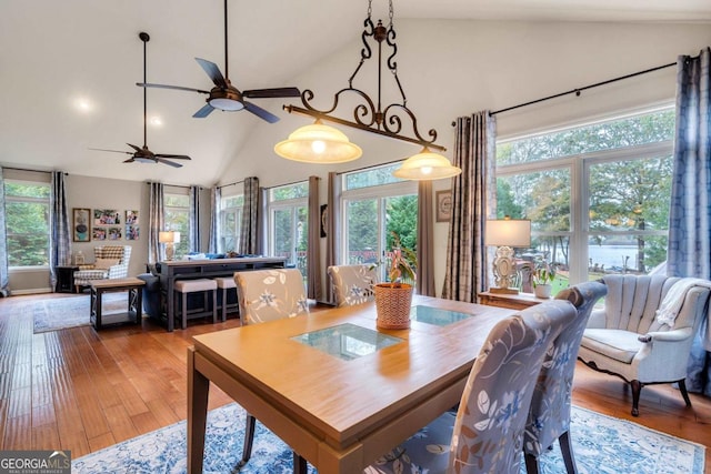 dining room with high vaulted ceiling, ceiling fan, wood finished floors, and a wealth of natural light
