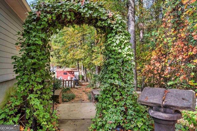 view of yard featuring a patio area