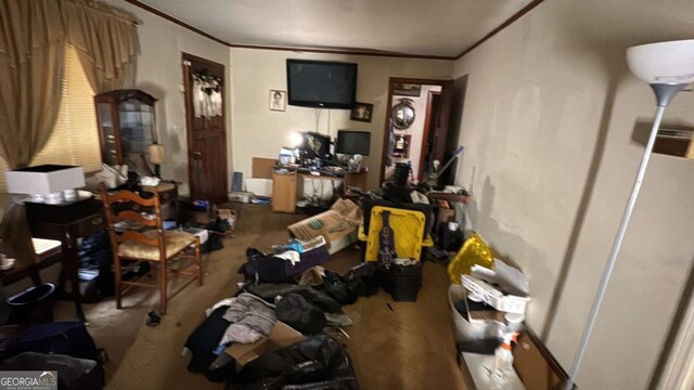 living room with crown molding and carpet
