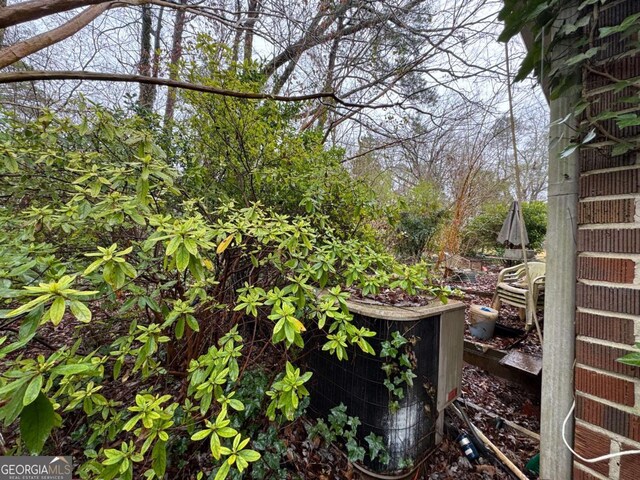view of yard with a garden