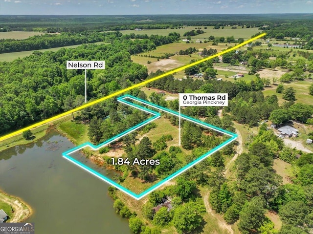 0 Thomas Rd, Reynolds, GA 31076