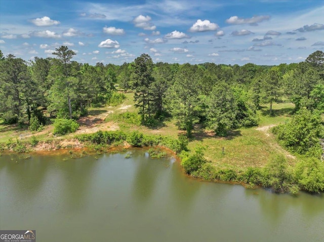 0 Thomas Rd, Reynolds, GA 31076