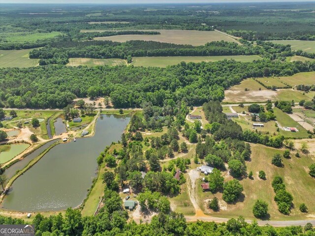 0 Thomas Rd, Reynolds, GA 31076
