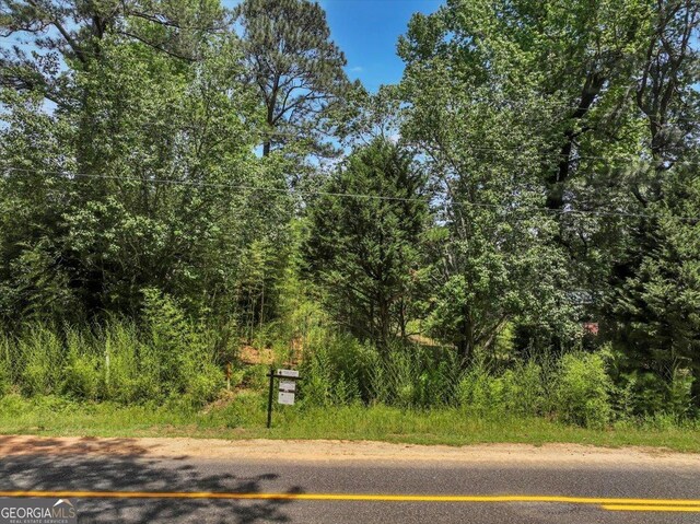 0 Thomas Rd, Reynolds, GA 31076