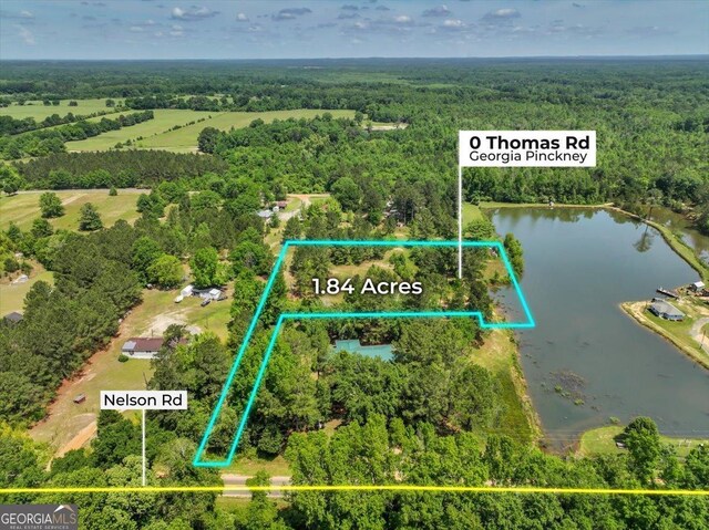 0 Thomas Rd, Reynolds, GA 31076