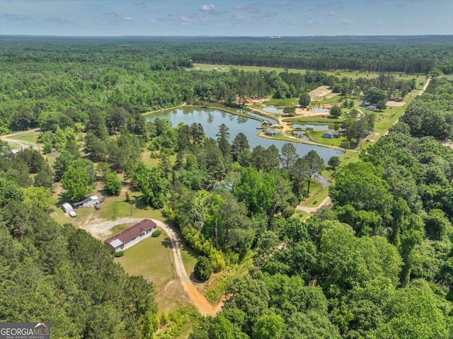 0 Thomas Rd, Reynolds, GA 31076