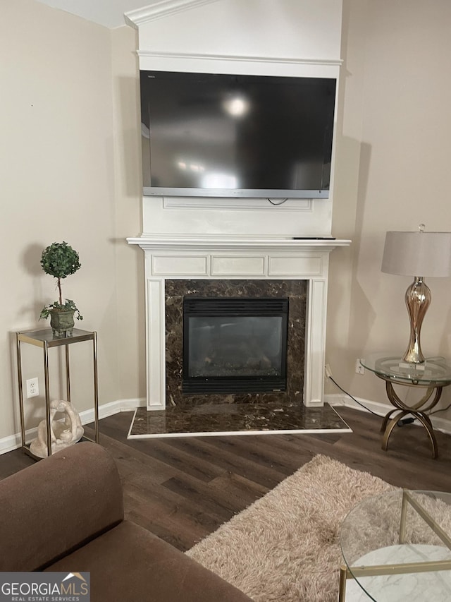 interior details with baseboards, a high end fireplace, and wood finished floors