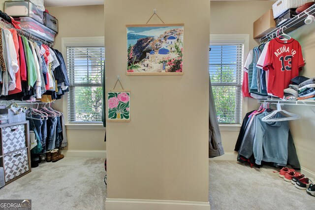62 Northgate Preserve Dr, Newnan, GA 30265 - walk in closet featuring carpet