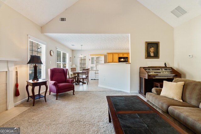 17 Castleview Ct, Jefferson, GA 30549 - living area with high vaulted ceiling, visible vents, light carpet, and baseboards