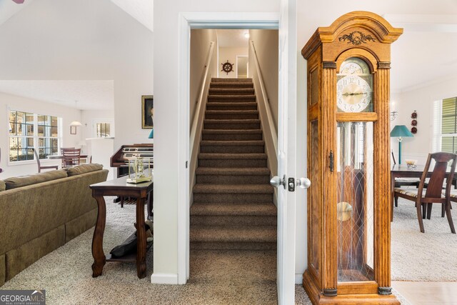 17 Castleview Ct, Jefferson, GA 30549 - staircase featuring carpet flooring and a wealth of natural light