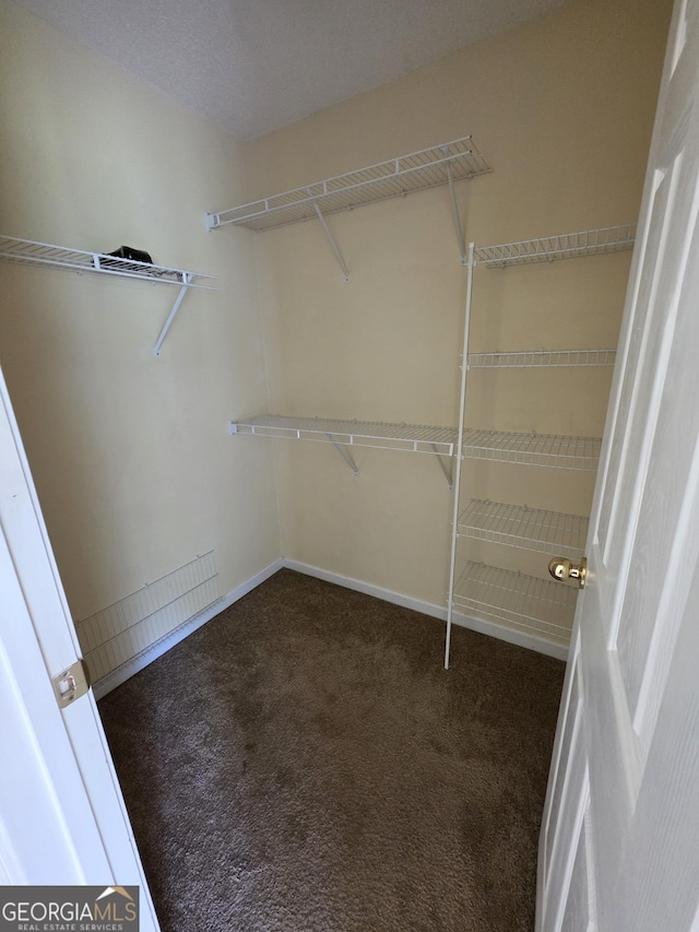 walk in closet with carpet flooring