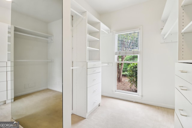 walk in closet with light carpet