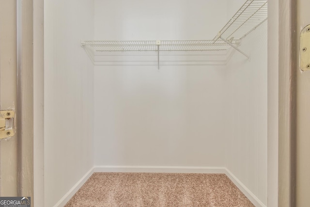 spacious closet featuring carpet floors