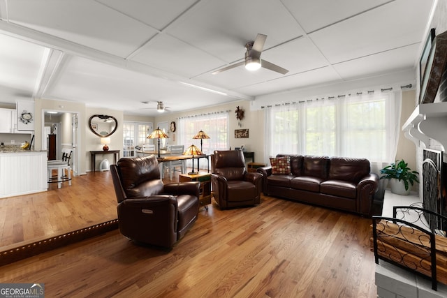 living area featuring a healthy amount of sunlight, ceiling fan, and light wood-type flooring