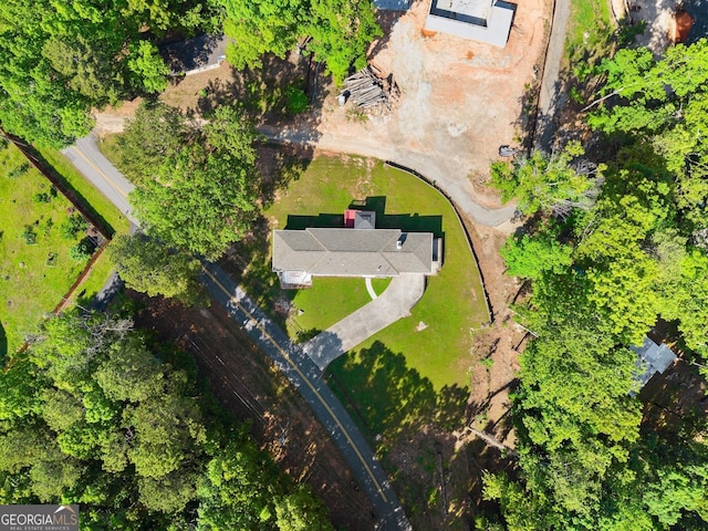 bird's eye view