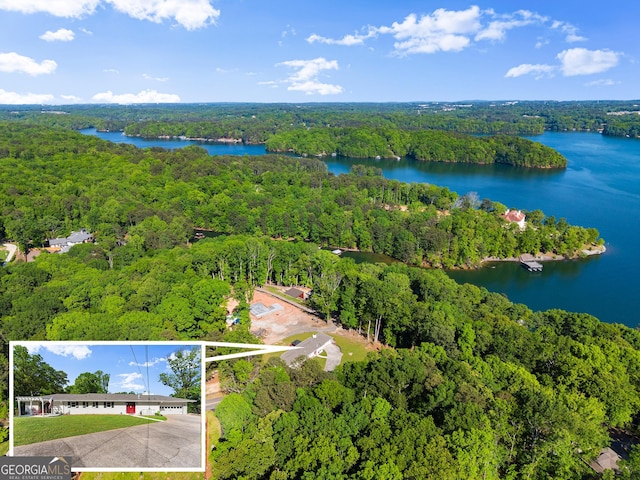 bird's eye view featuring a water view and a wooded view