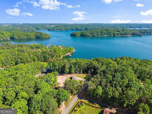 birds eye view of property with a water view and a wooded view