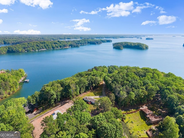 aerial view with a water view and a view of trees