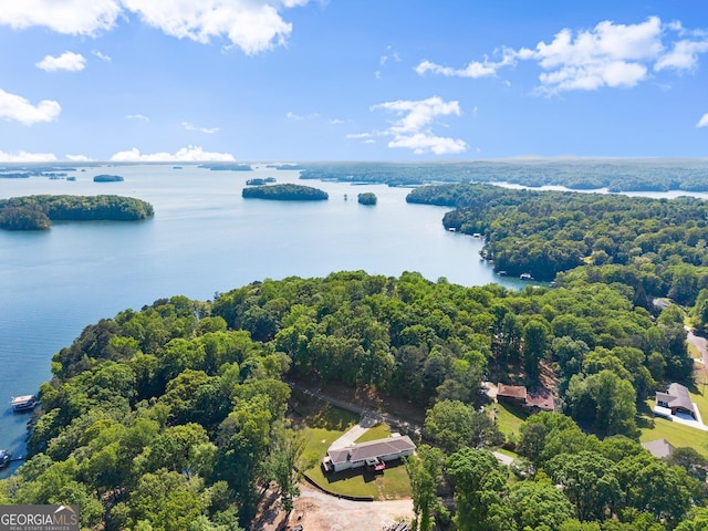 drone / aerial view featuring a water view and a wooded view