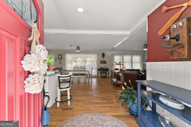 entryway featuring ceiling fan, wood finished floors, and a wealth of natural light