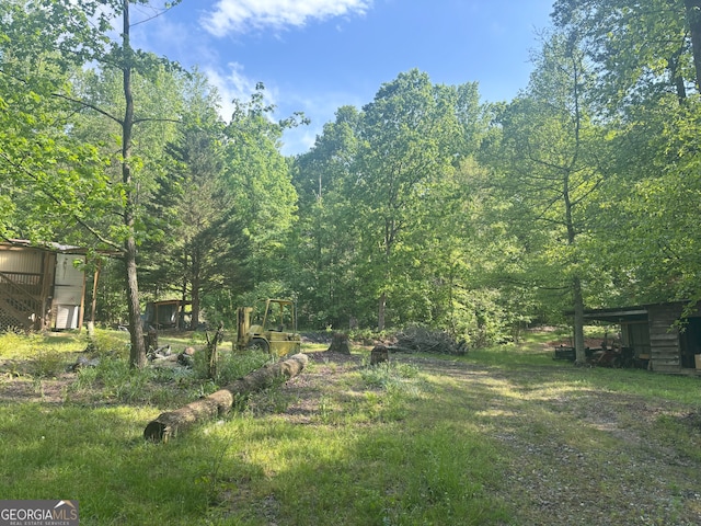 view of yard featuring a view of trees