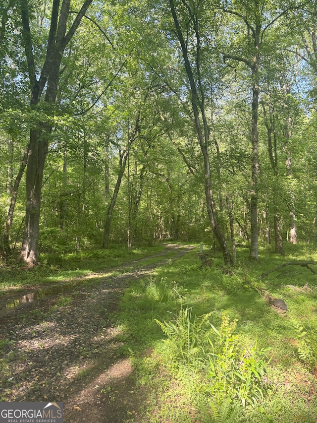 view of nature featuring a wooded view
