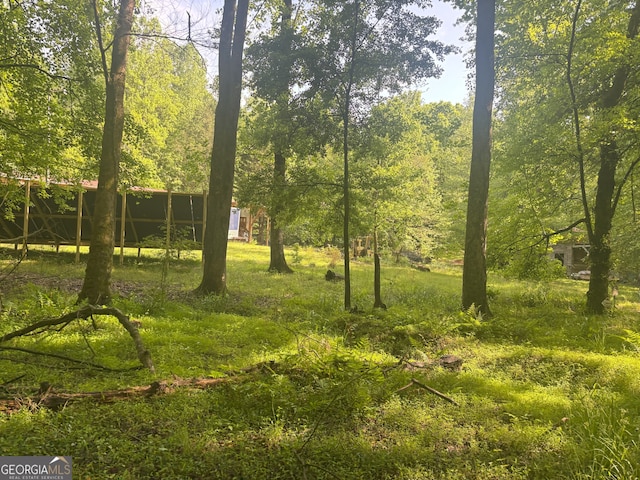 view of local wilderness