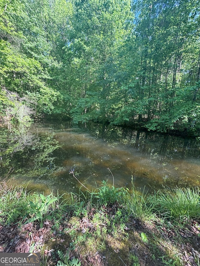 view of local wilderness featuring a forest view
