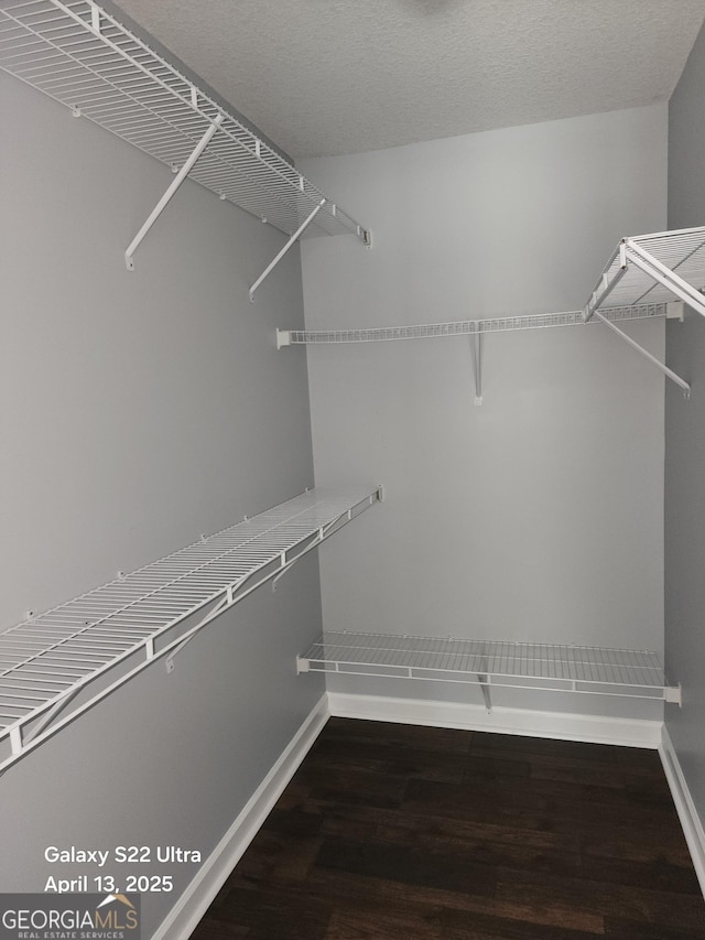 walk in closet featuring wood finished floors