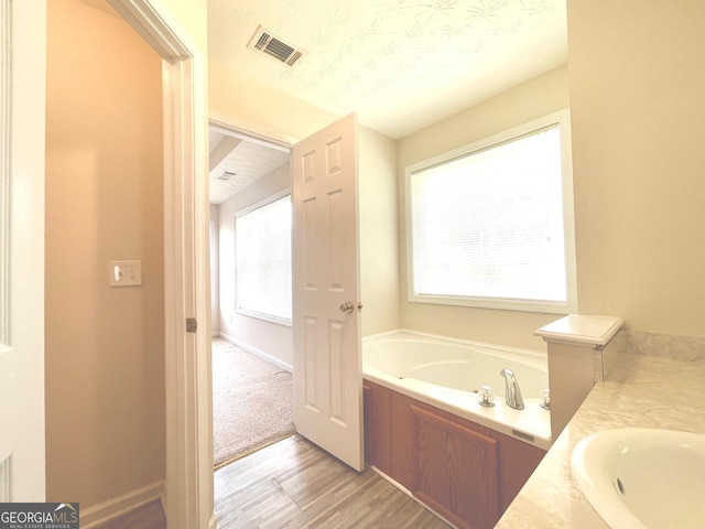127 Mabry Rd, Jackson, GA 30233 - full bathroom featuring a garden tub, wood finished floors, and vanity