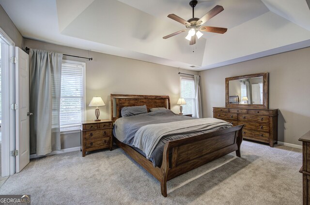 3186 Sail Winds Dr NW, Acworth, GA 30101 - bedroom featuring a raised ceiling, multiple windows, and light carpet