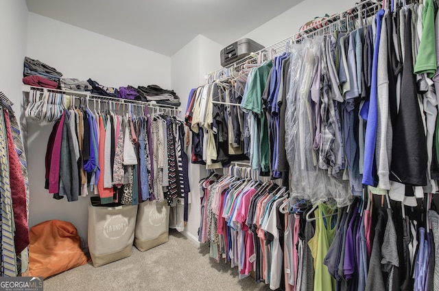3186 Sail Winds Dr NW, Acworth, GA 30101 - walk in closet featuring carpet