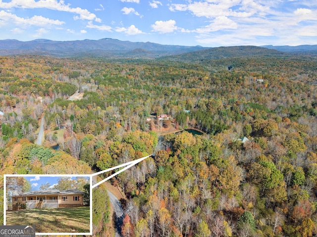 birds eye view of property featuring a view of trees and a mountain view