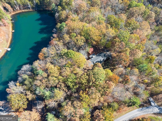 birds eye view of property with a water view and a wooded view