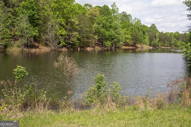 view of water feature featuring a wooded view