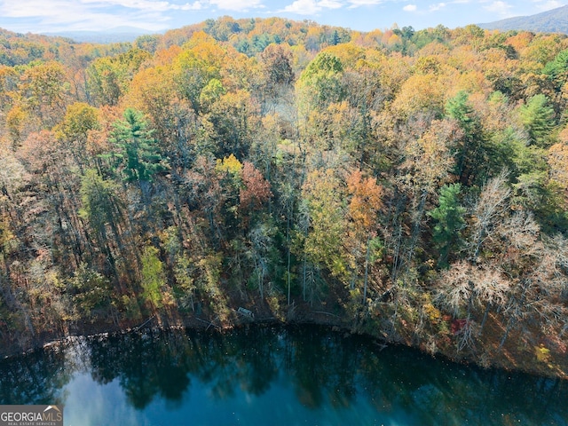 aerial view featuring a water and mountain view and a forest view
