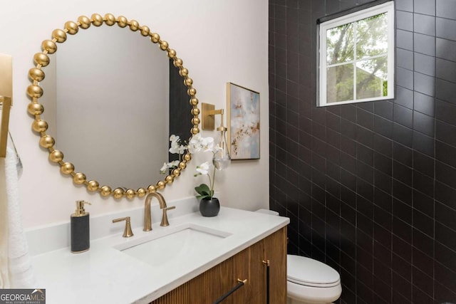 bathroom with toilet and vanity